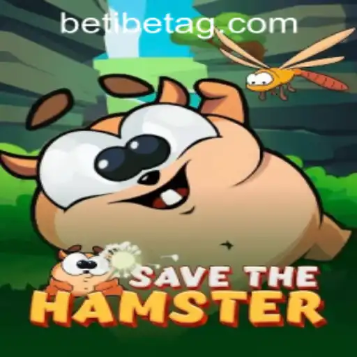 SavetheHamster: An Innovative Gaming Experience